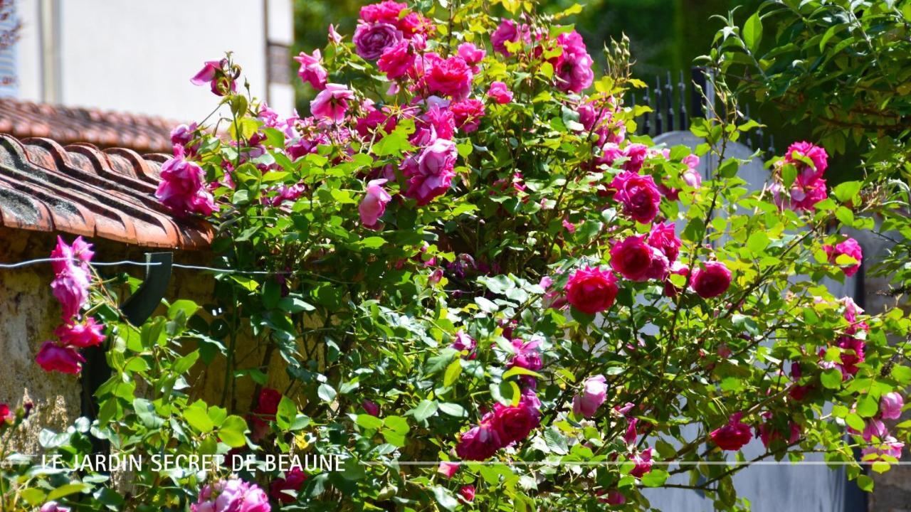 Le Jardin Secret De Beaune Бон Экстерьер фото